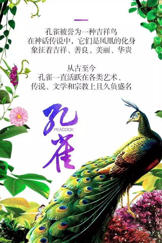 【915-918邵陽(yáng)秋季車(chē)展】鳳臨枝頭，雀雀雀雀雀實(shí)驚艷！