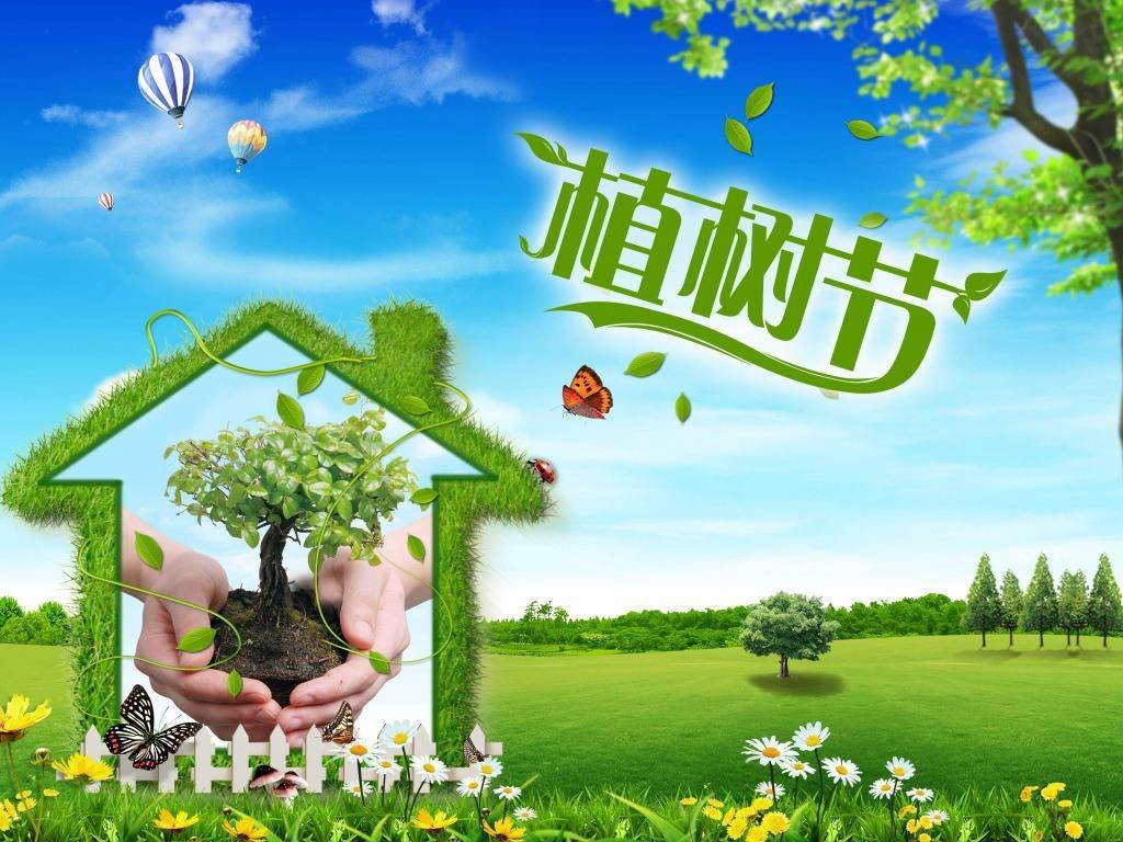 北京現(xiàn)代“智現(xiàn)代，植未來”，你我共建森林邵陽