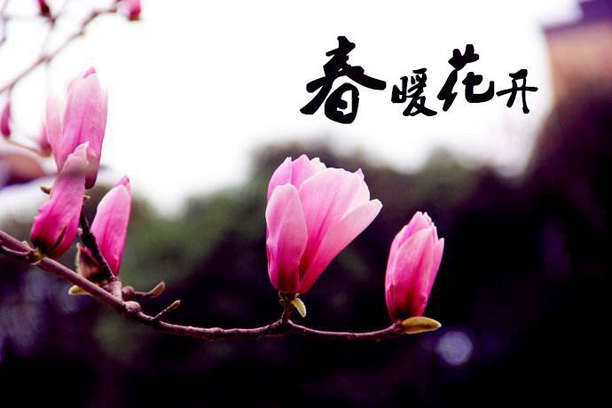 春暖花開 教你春季如何做汽車保養(yǎng)！