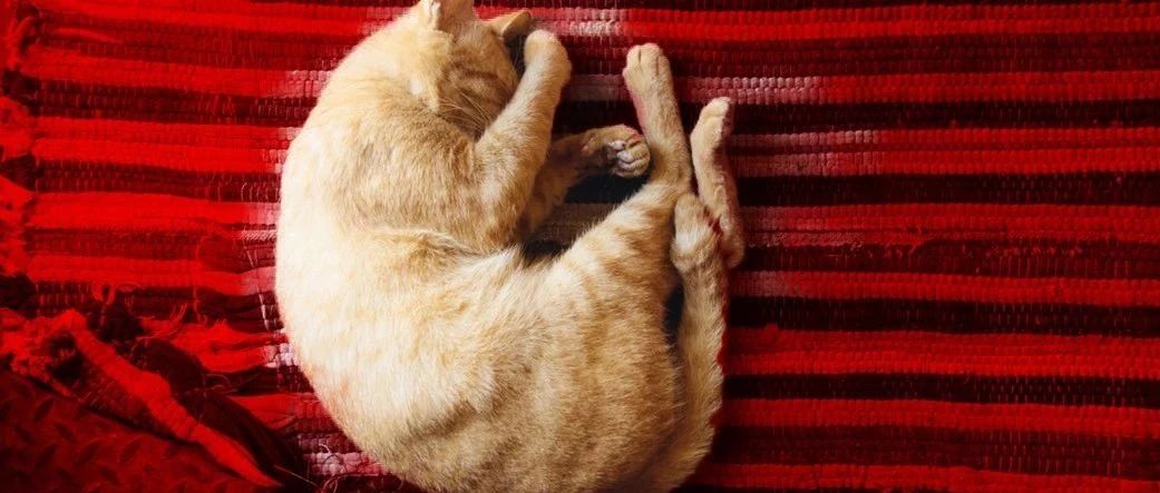 人類發(fā)展的動力，除了懶，還有對舒適的追求