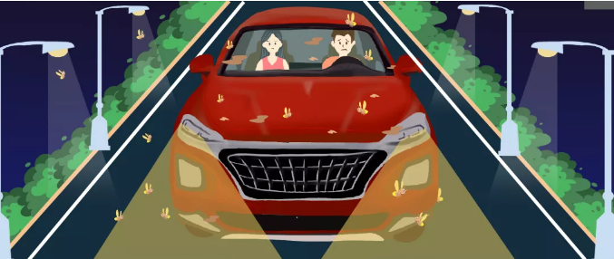 安全清除車身飛蟲，僅需十分鐘